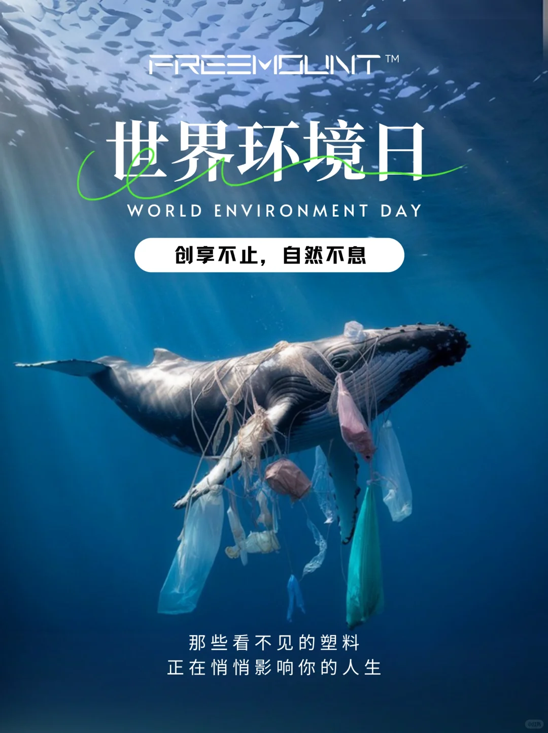 那些看不见的塑料，正在悄悄影响你的人生