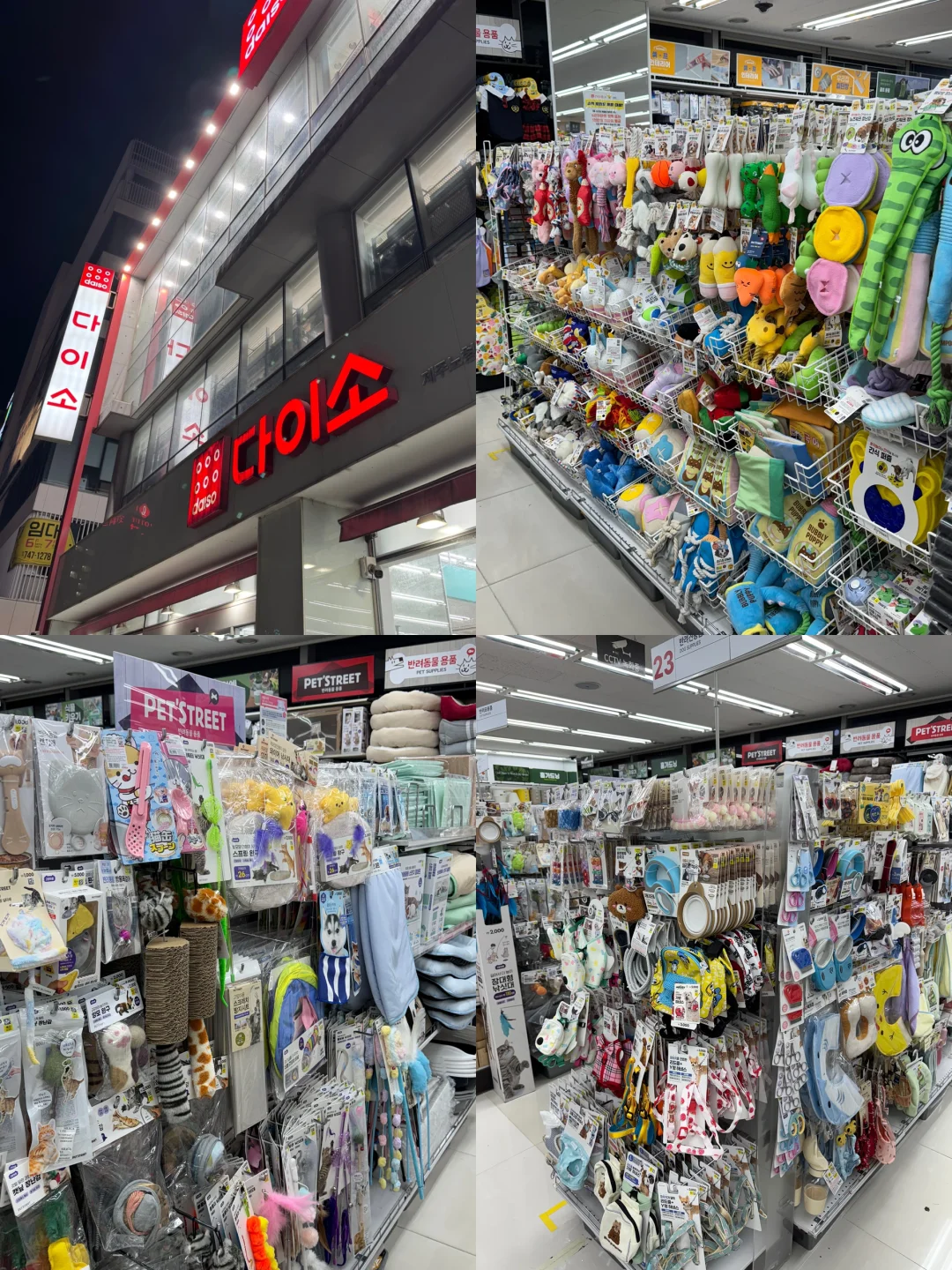养狗人济州岛打猎攻略?勇闯?家店宠物店！
