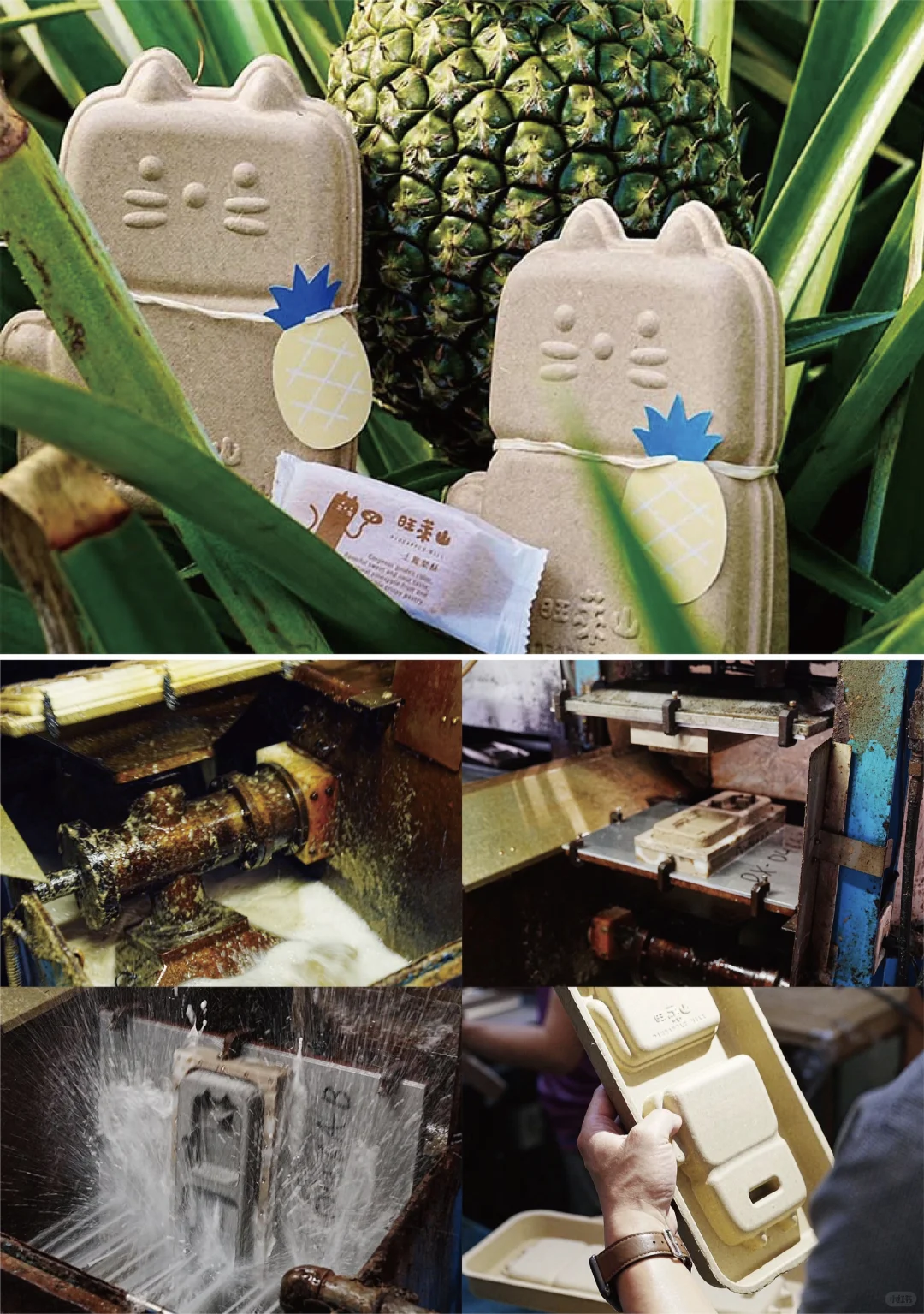 喵形菠萝纤维包装：会呼吸的环保萌物?