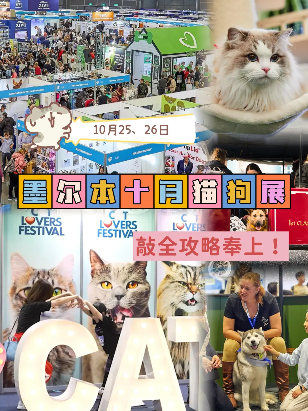 十月墨尔本猫狗展薅羊毛、撸毛孩子攻略