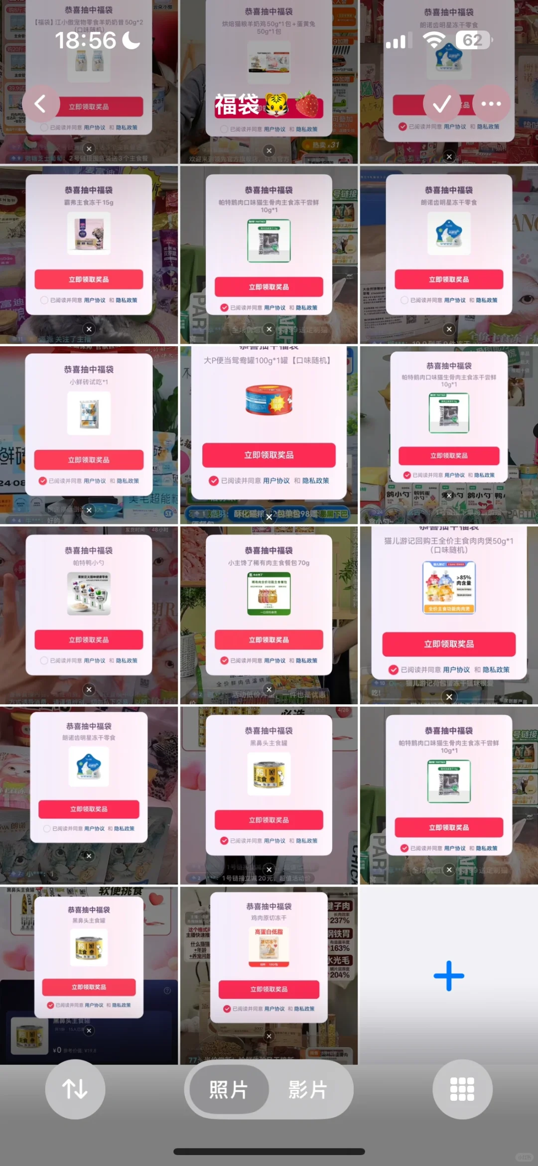 dy?福袋分享（猫咪版）