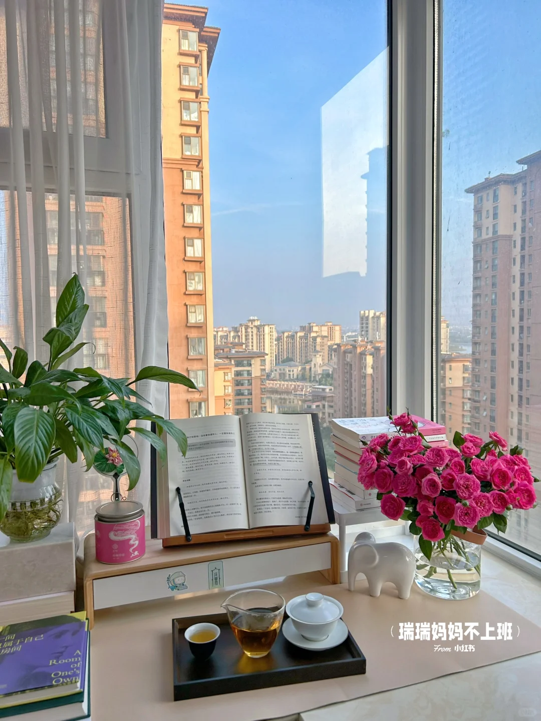 36岁,家是我的能量场,独处是灵魂的充电站✨