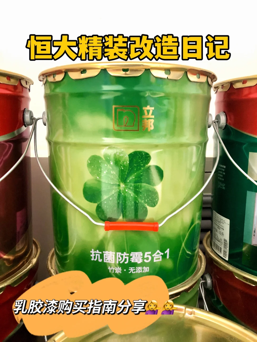 做了很久攻略的乳胶漆✨立邦抗菌防霉五合一