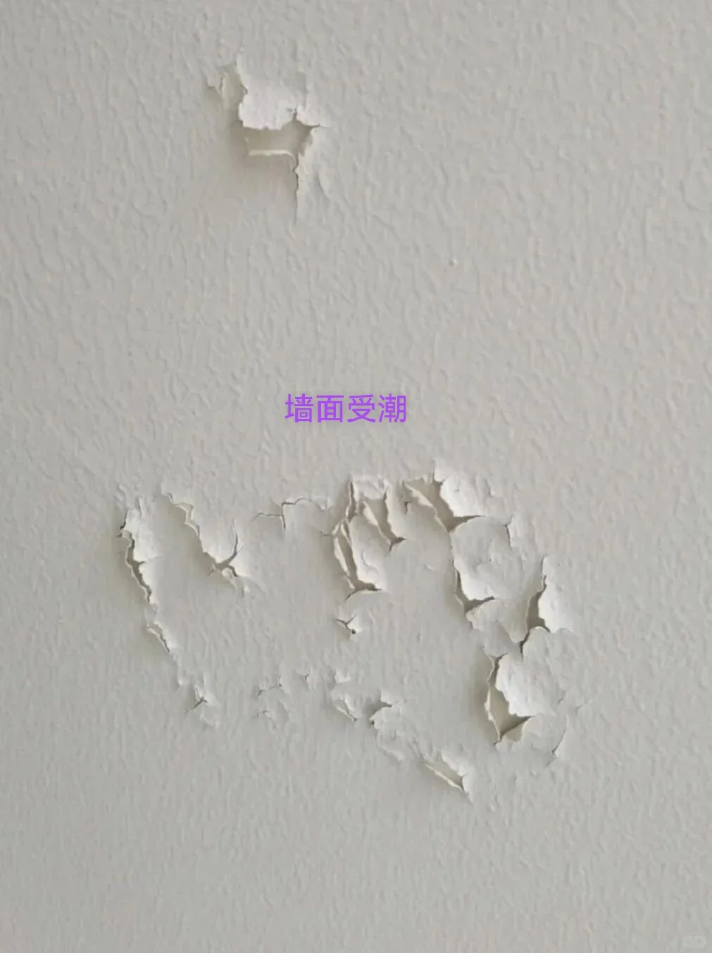 泰克诺斯曼迪20，凭借超强防潮防霉核心