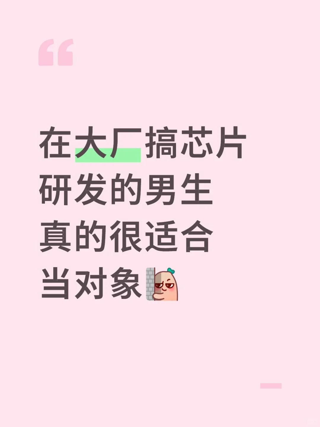 在大厂搞芯片研发的男生很适合当对象