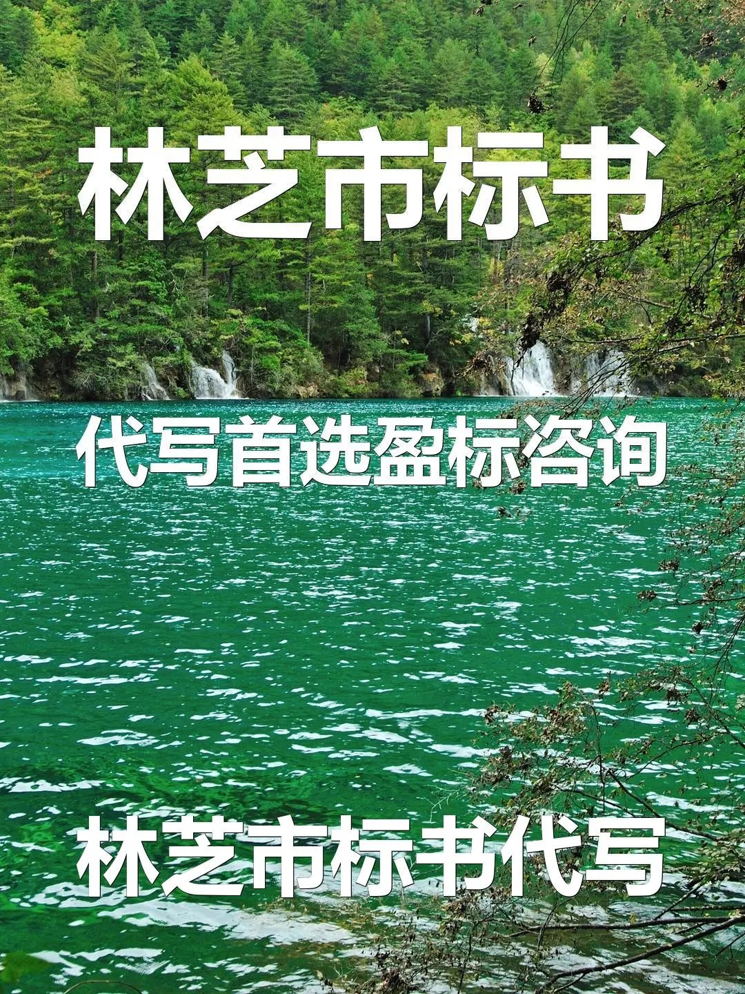 林芝市标书代写首选盈标咨询