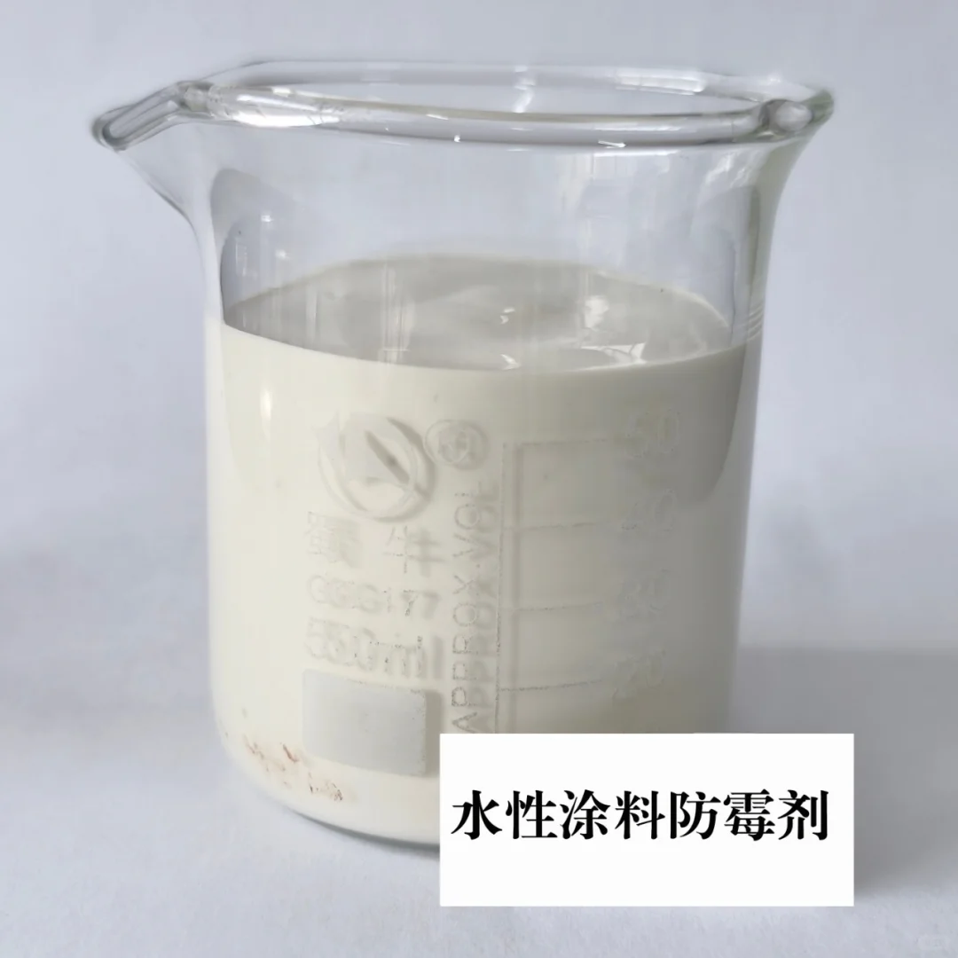 【为什么你家的墙面总发霉？答案在这里！