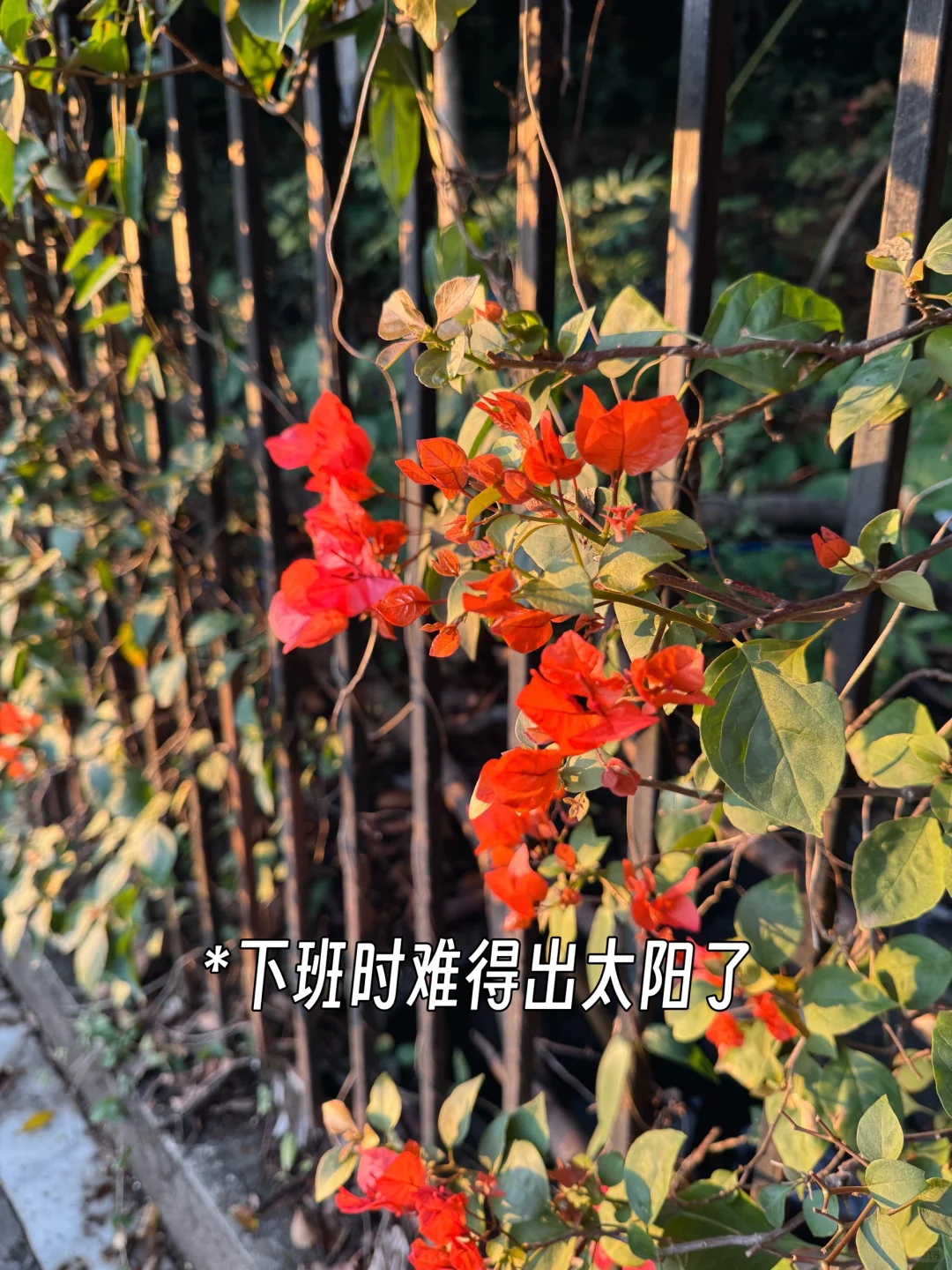 大型检测仪器设备实操培训