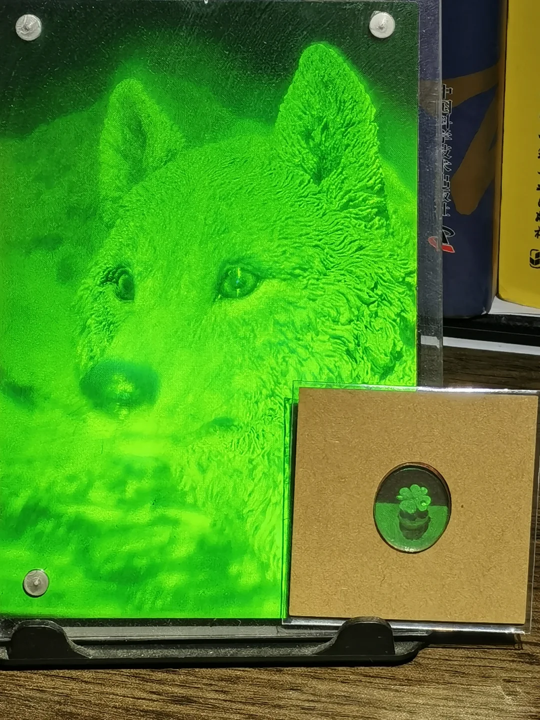 新收的全息四叶草