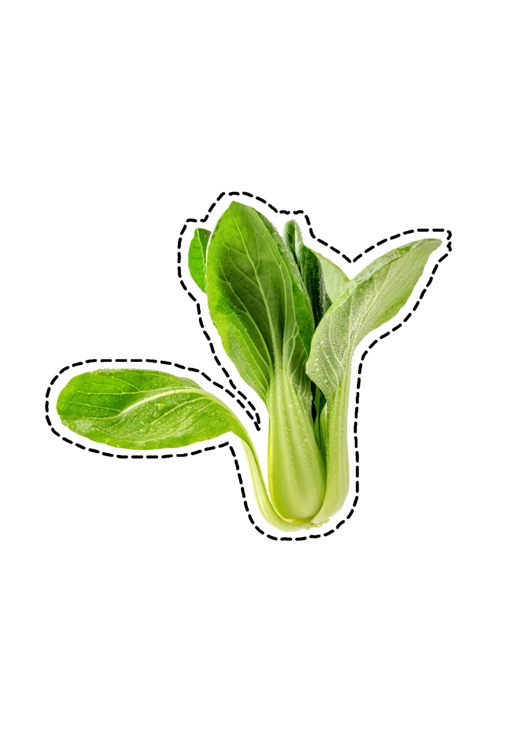 蔬菜剪纸素材｜?打印