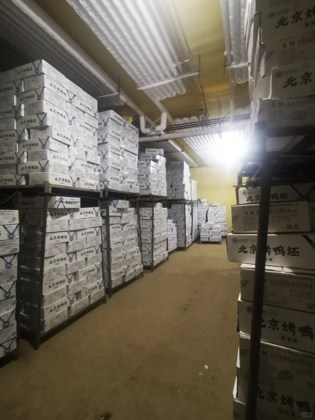 参观鸭胚生产源头