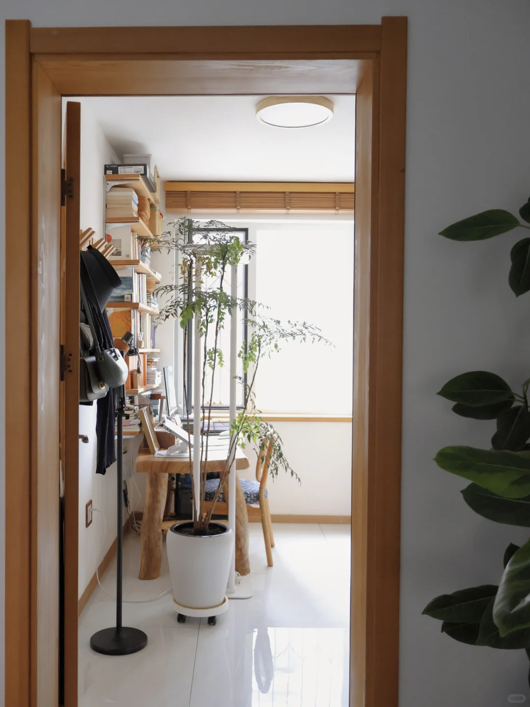 住在很土很净的家?