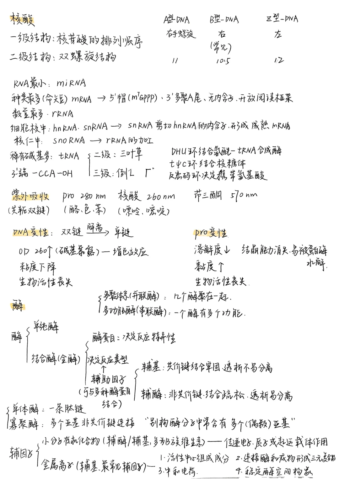 生物化学|笔记合集