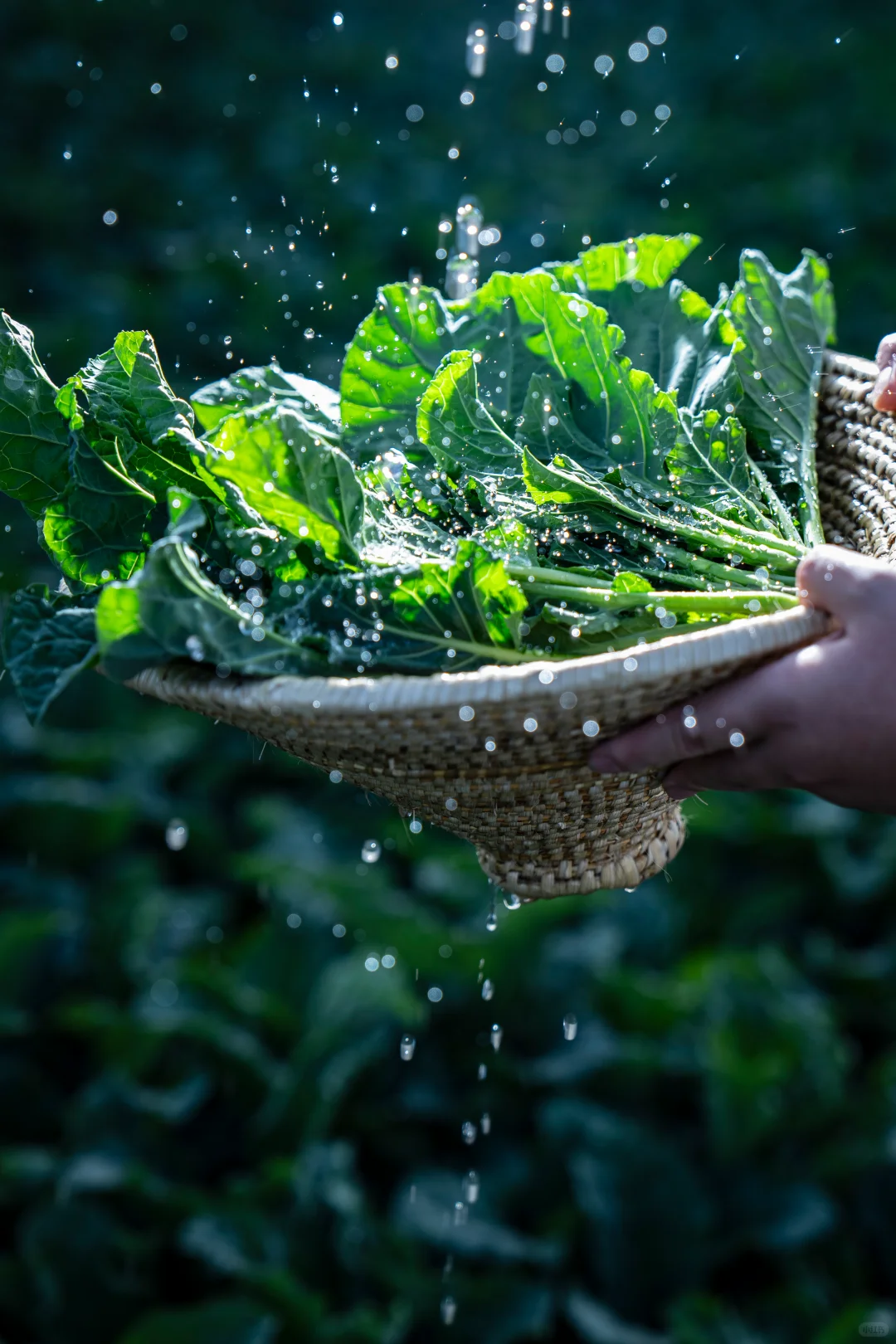 救命！原来随手拍的蔬菜能这么绝！！?