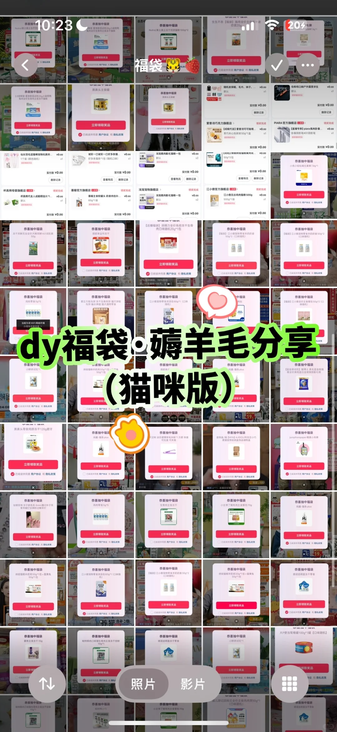 dy?福袋分享（猫咪版）