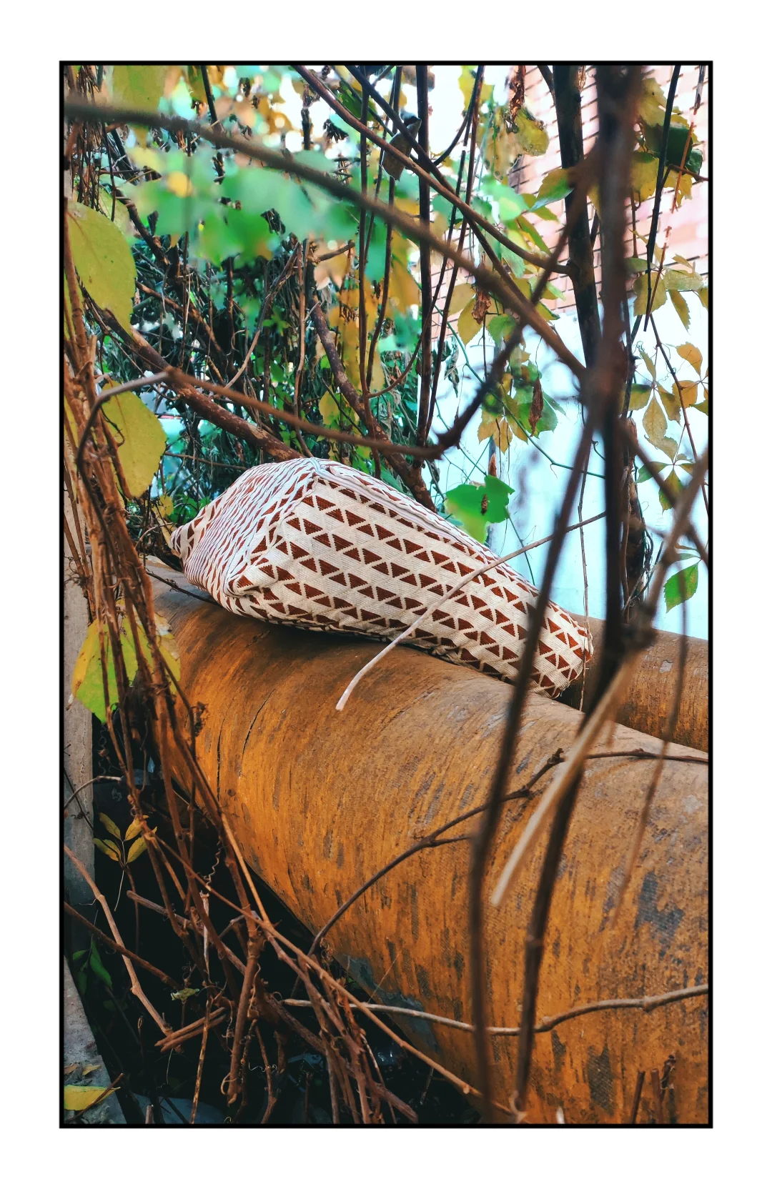 在城市褶皱里，捡了一个迷路的梦?