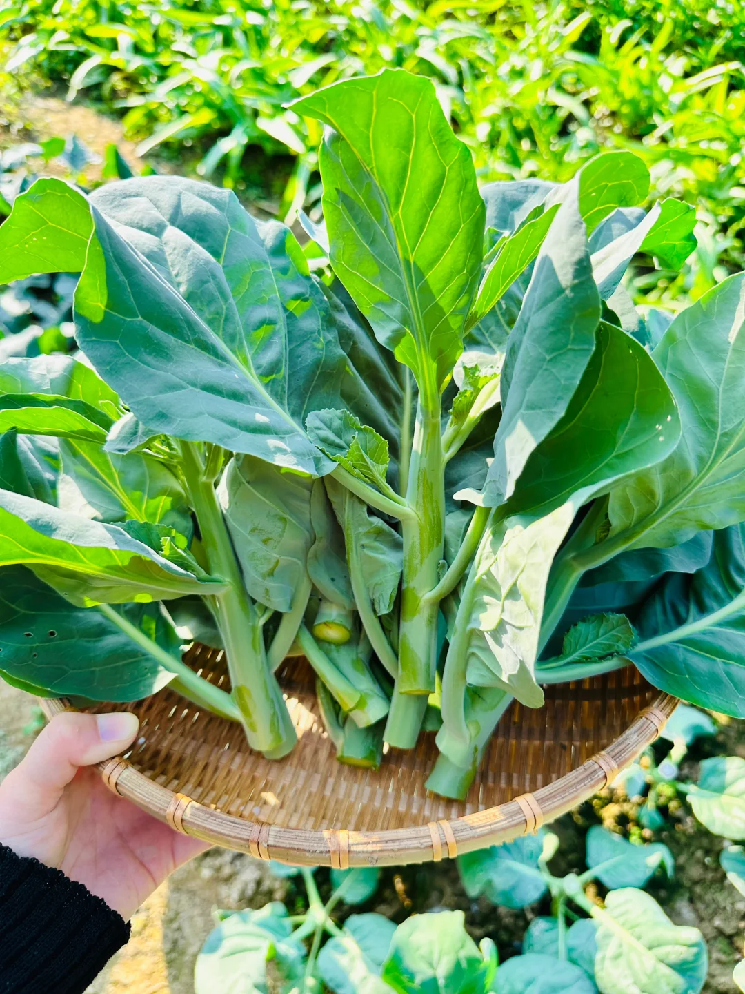 大自然的馈赠???????️