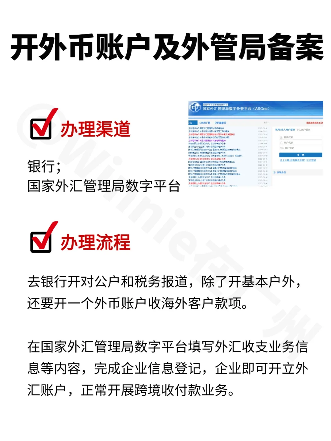 2025进出口权办理全攻略！外贸新手必备！