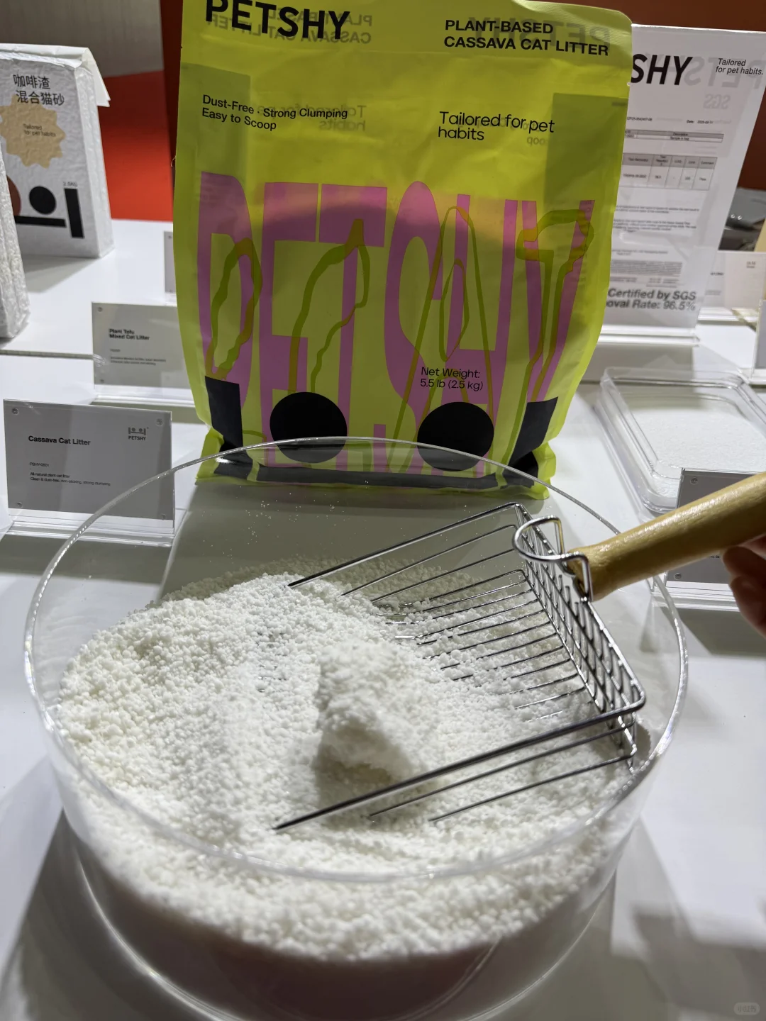 ??泰国宠物展第一天，感受全球市场新趋势