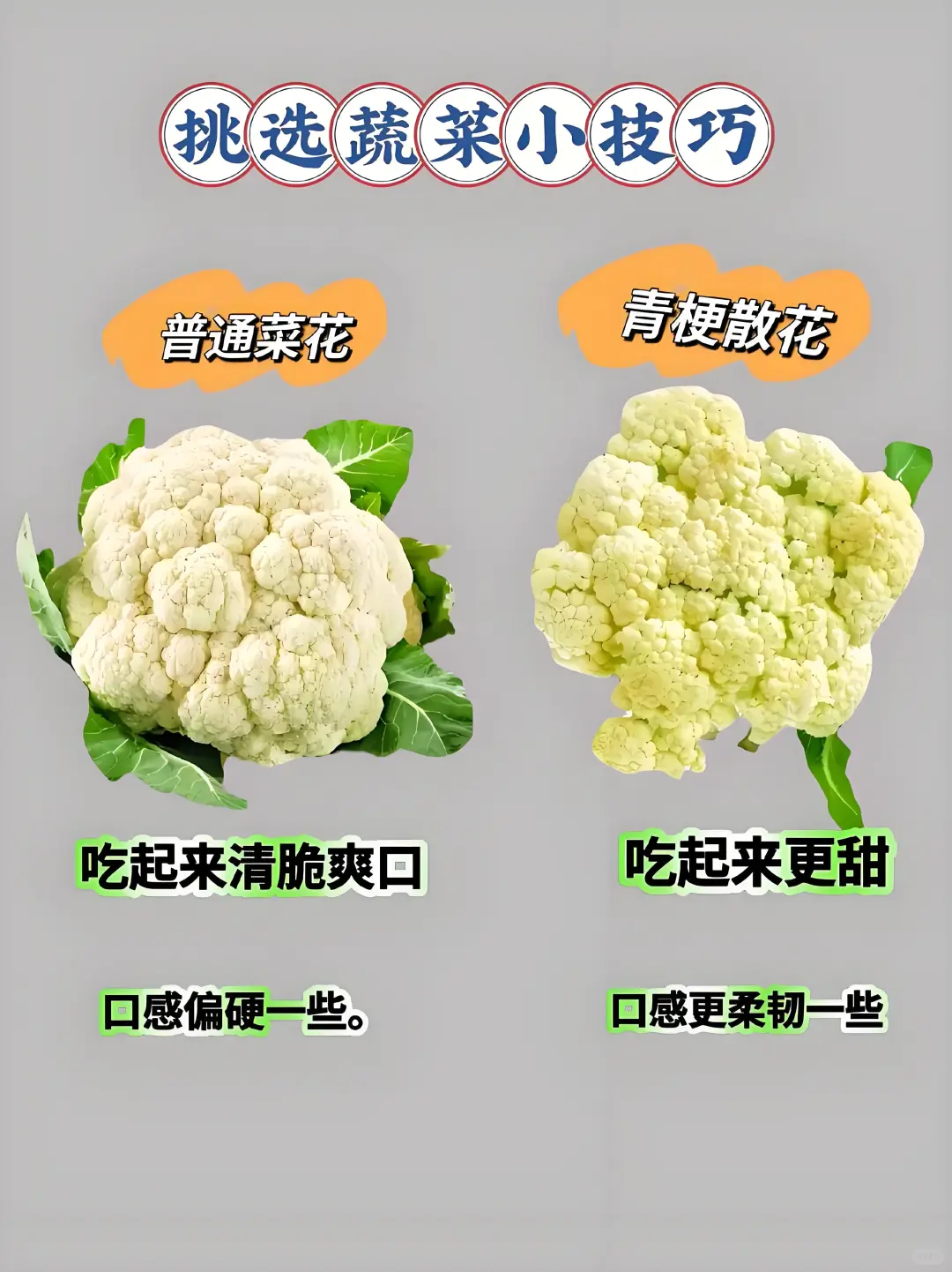 挑选菜小技巧，轻松买到新鲜