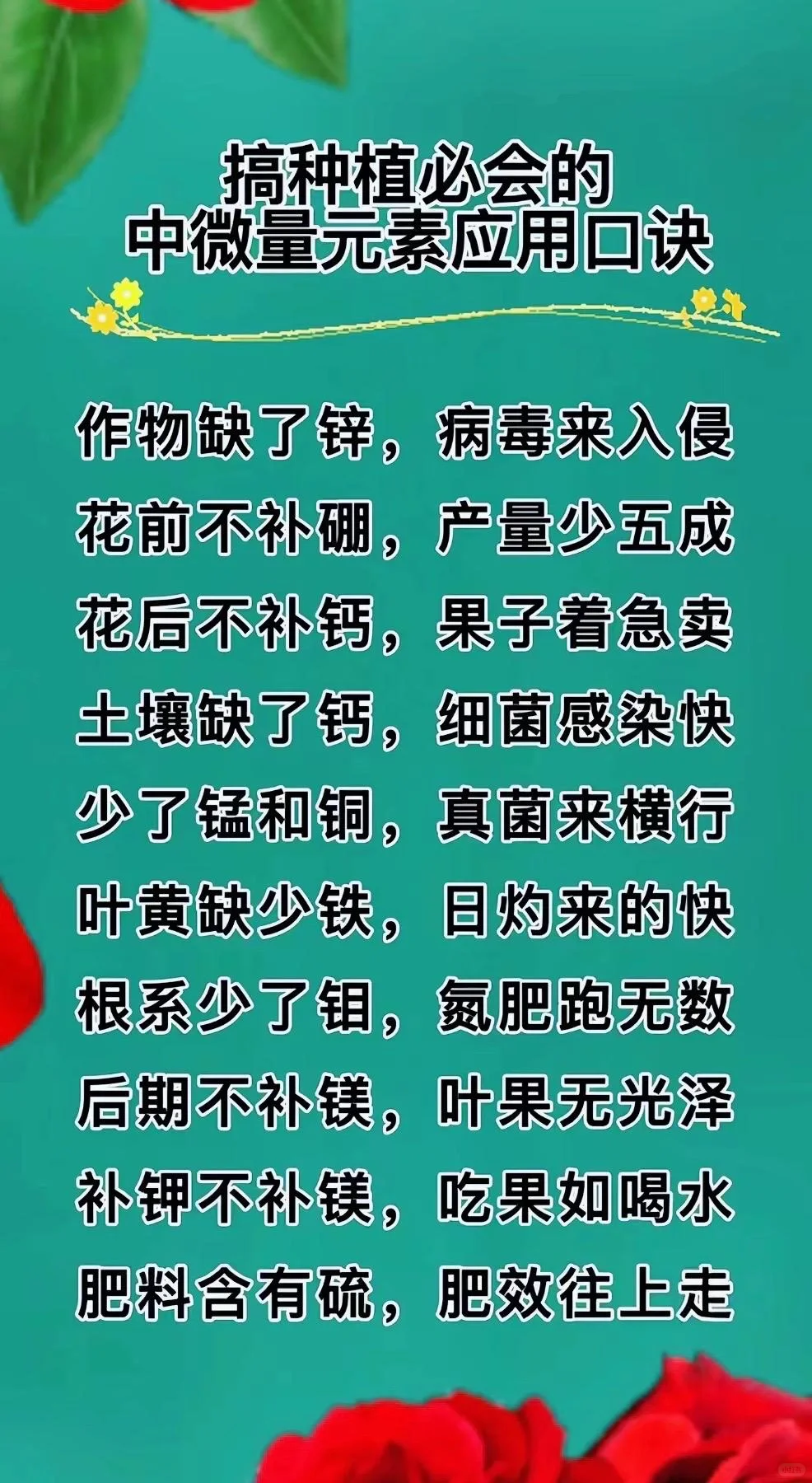 如何正确使用大量元素水溶肥