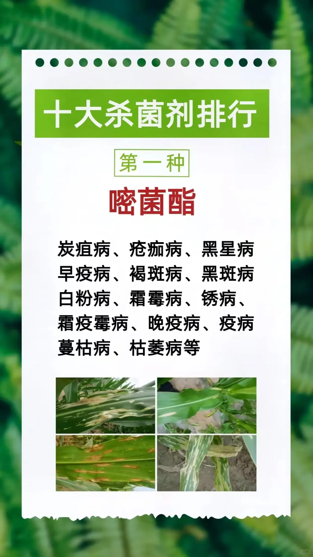 农作物植保中十大杀菌剂排行