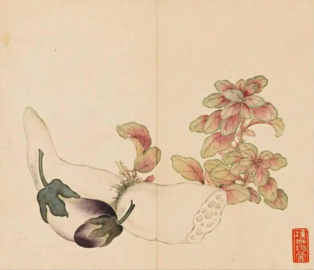 清｜汪承霈｜果蔬杂卉册