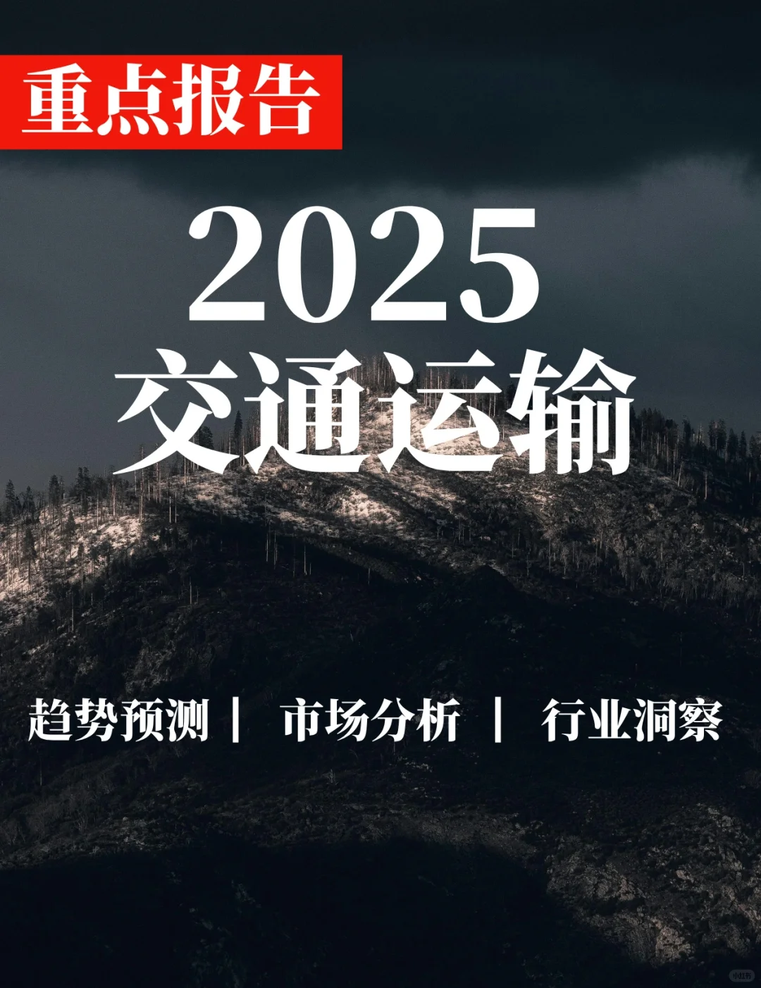 重点报告|2025交通运输行业报告