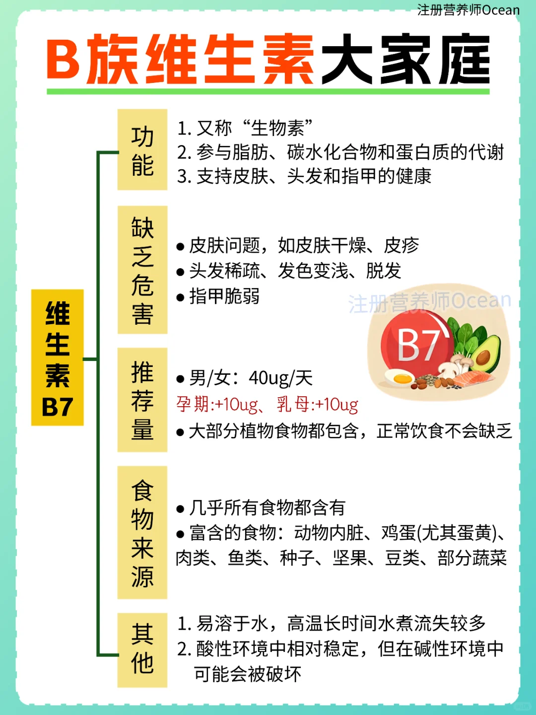 一篇全了解丨强大的B族维生素