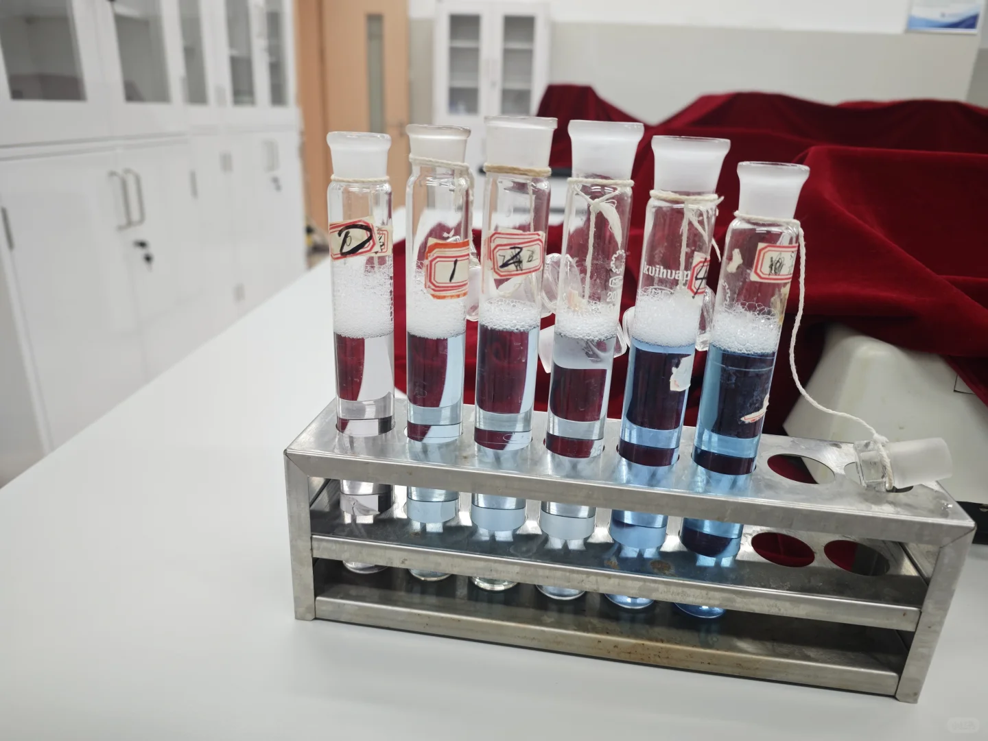 第一次从早忙淦晚，结果实验失败了