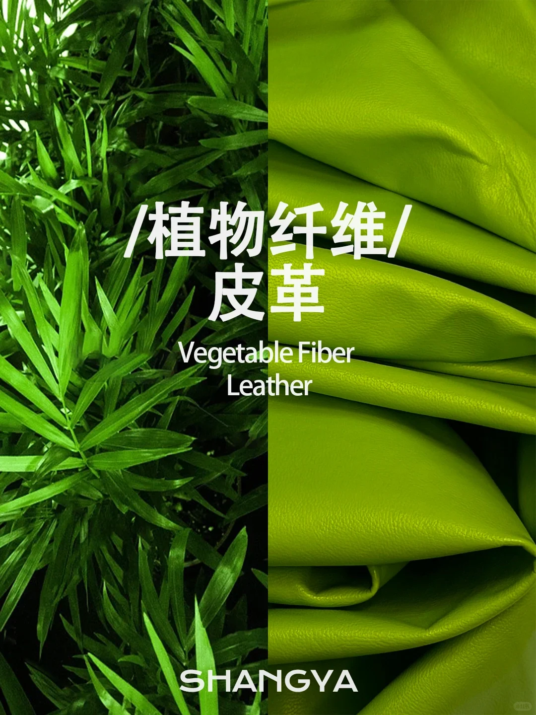 竹子皮革|环保与时尚的新碰撞