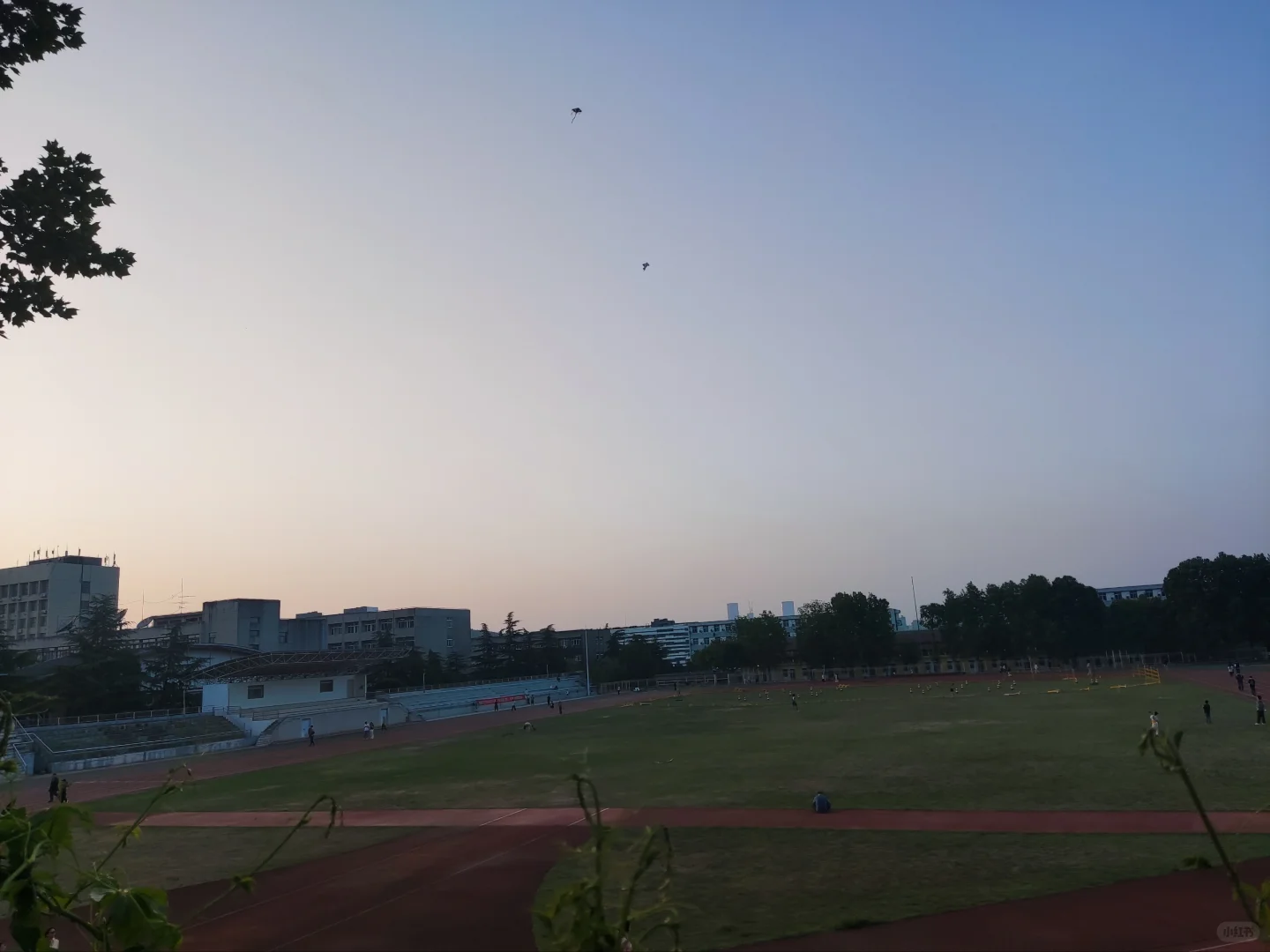 【低碳生活】操场上的绿色律动，环保小知识