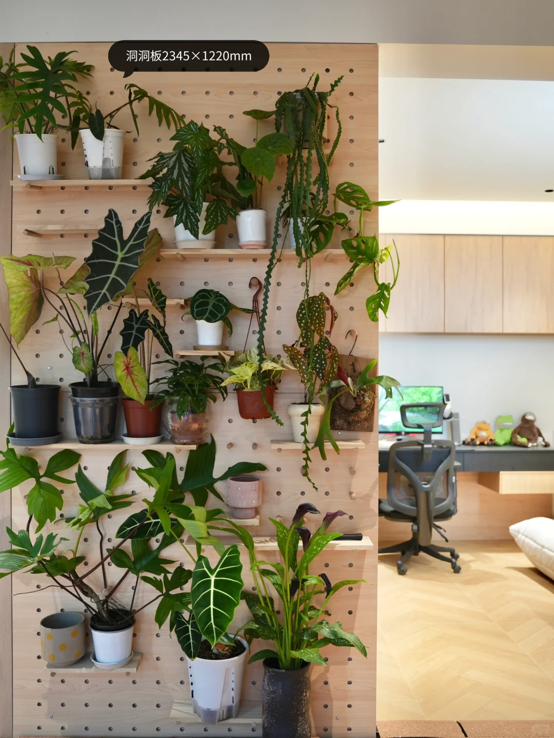 被10万人围观的家庭健身房?布局+器材清单