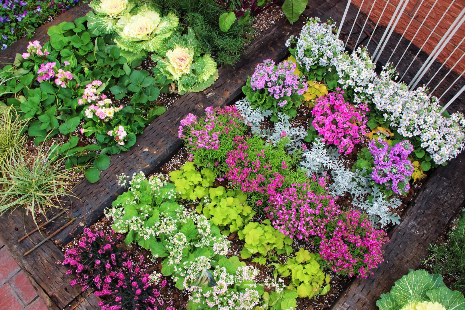 谁看了都会来一句,你这菜园的年味太冲了!