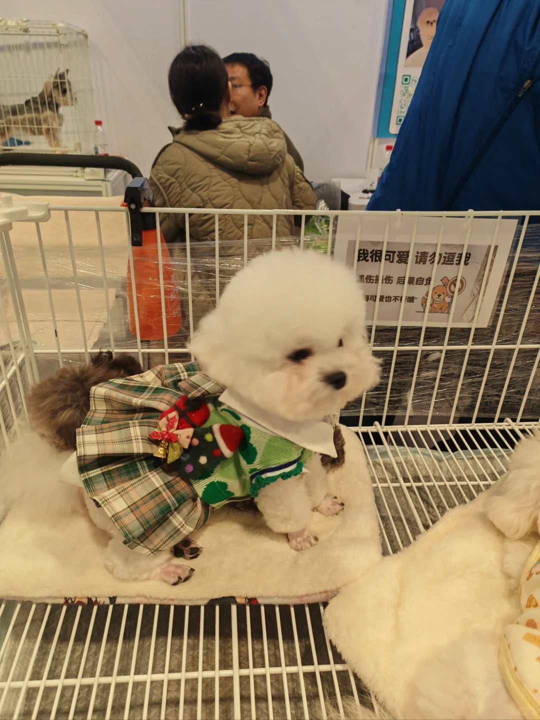 当农产品展遇见趣宠展怎么能不去薅羊毛