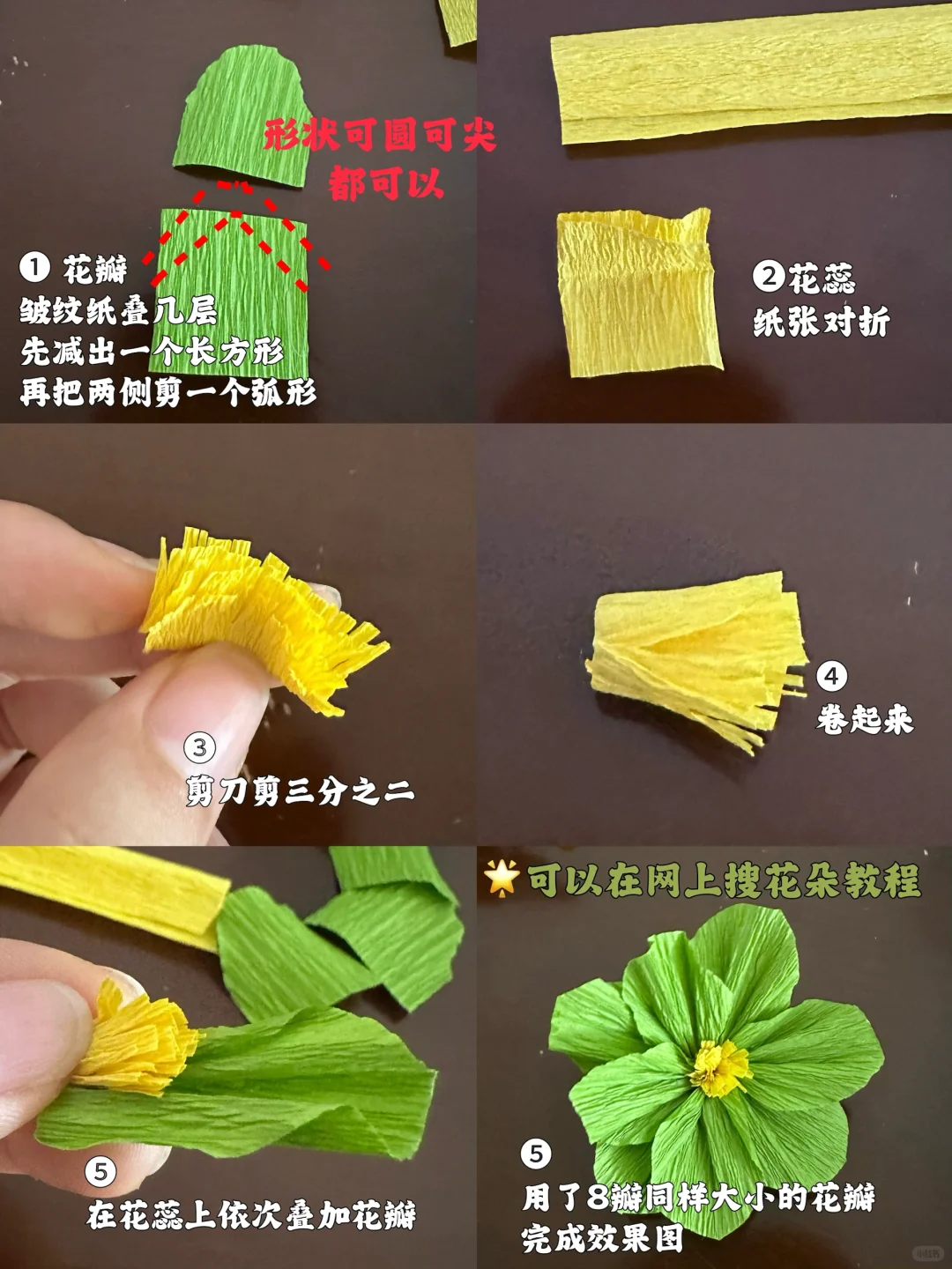 ?几块钱的浪漫｜我的褶皱蝴蝶飞上墙啦～?