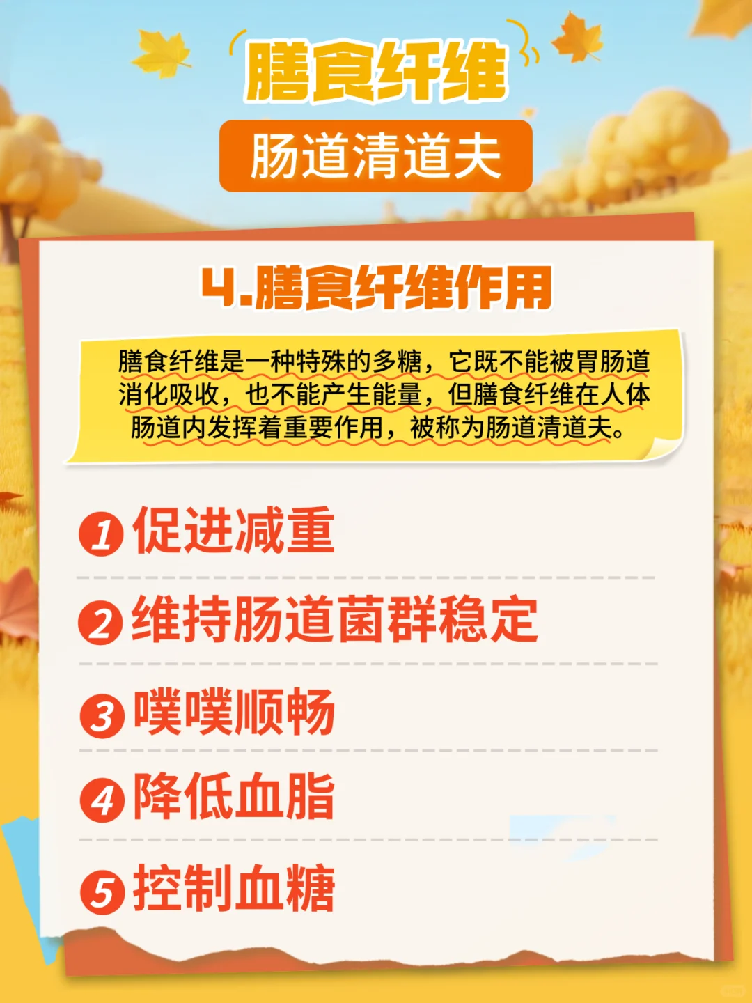 膳食纤维???肠道清道夫