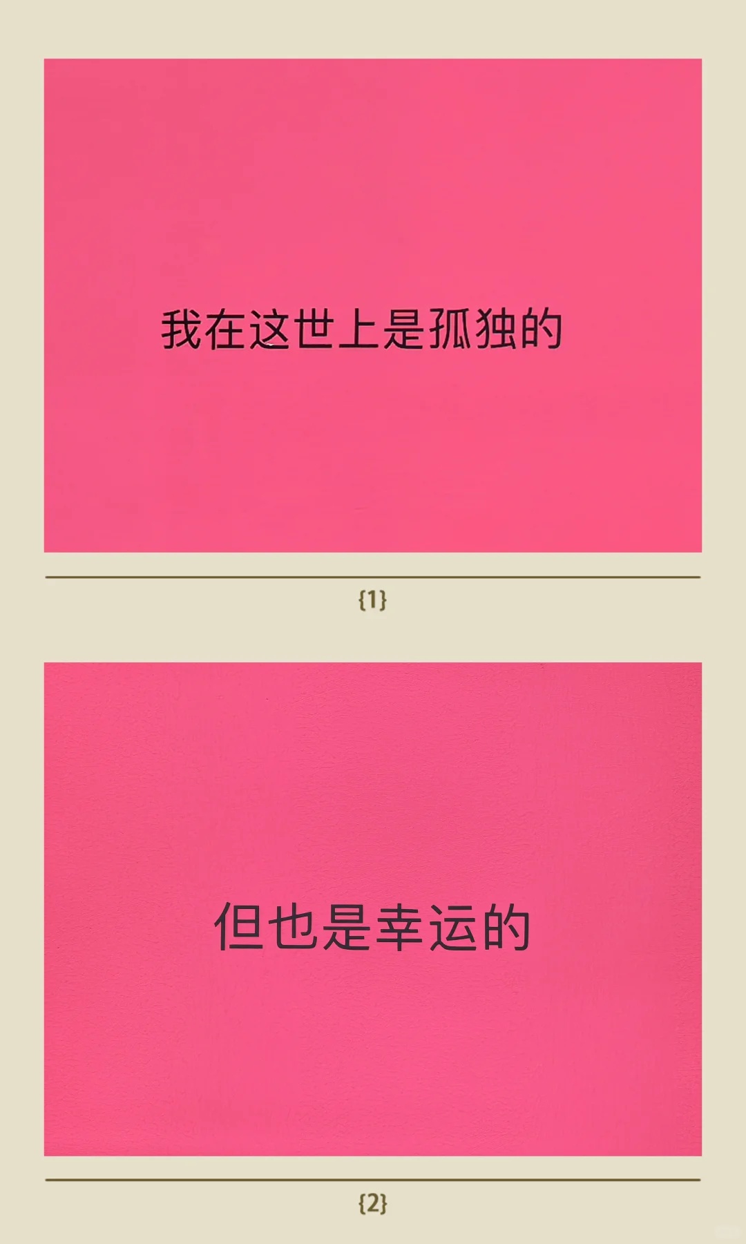 深圳新展