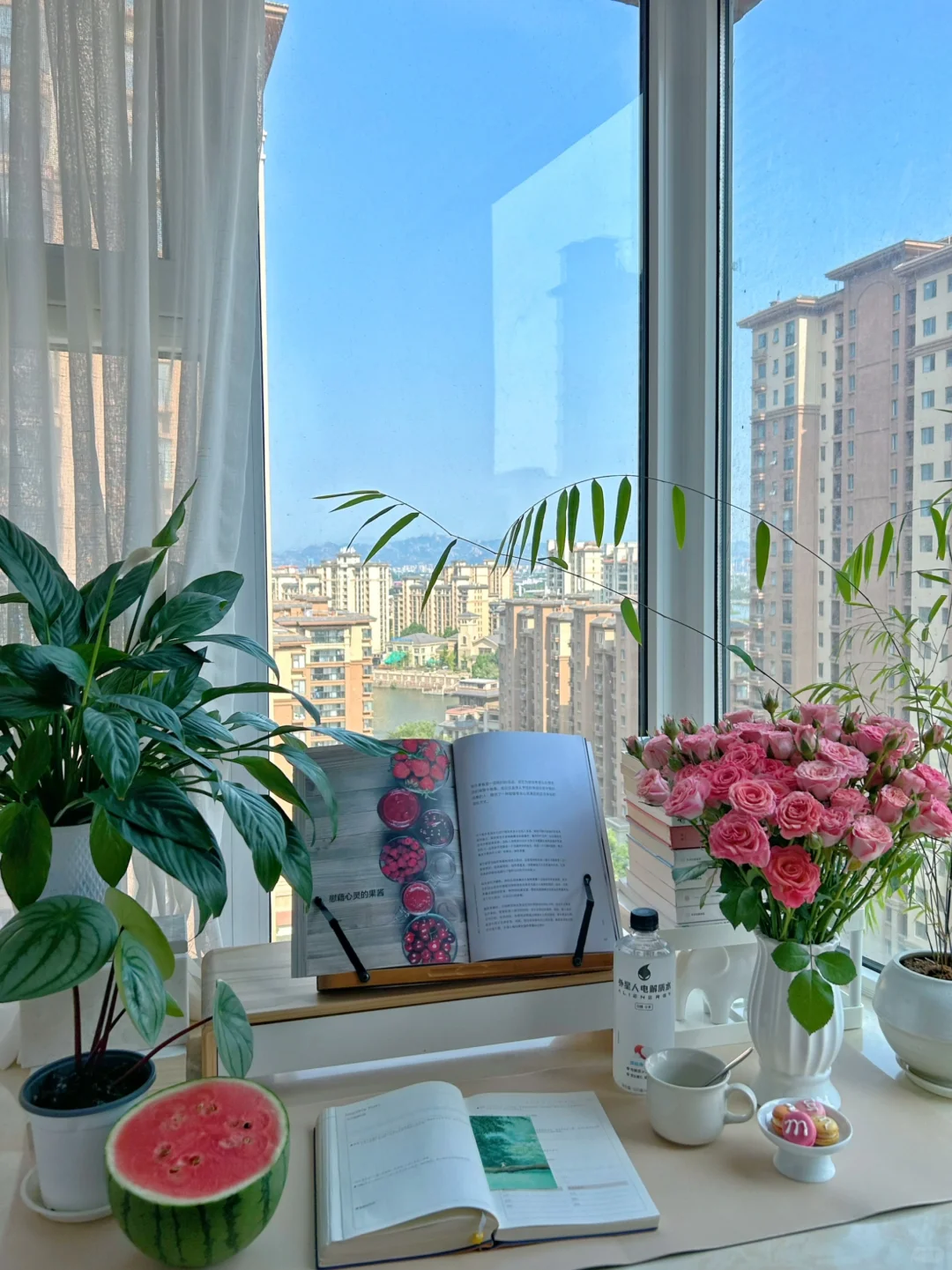 36岁,家是我的能量场,独处是灵魂的充电站✨