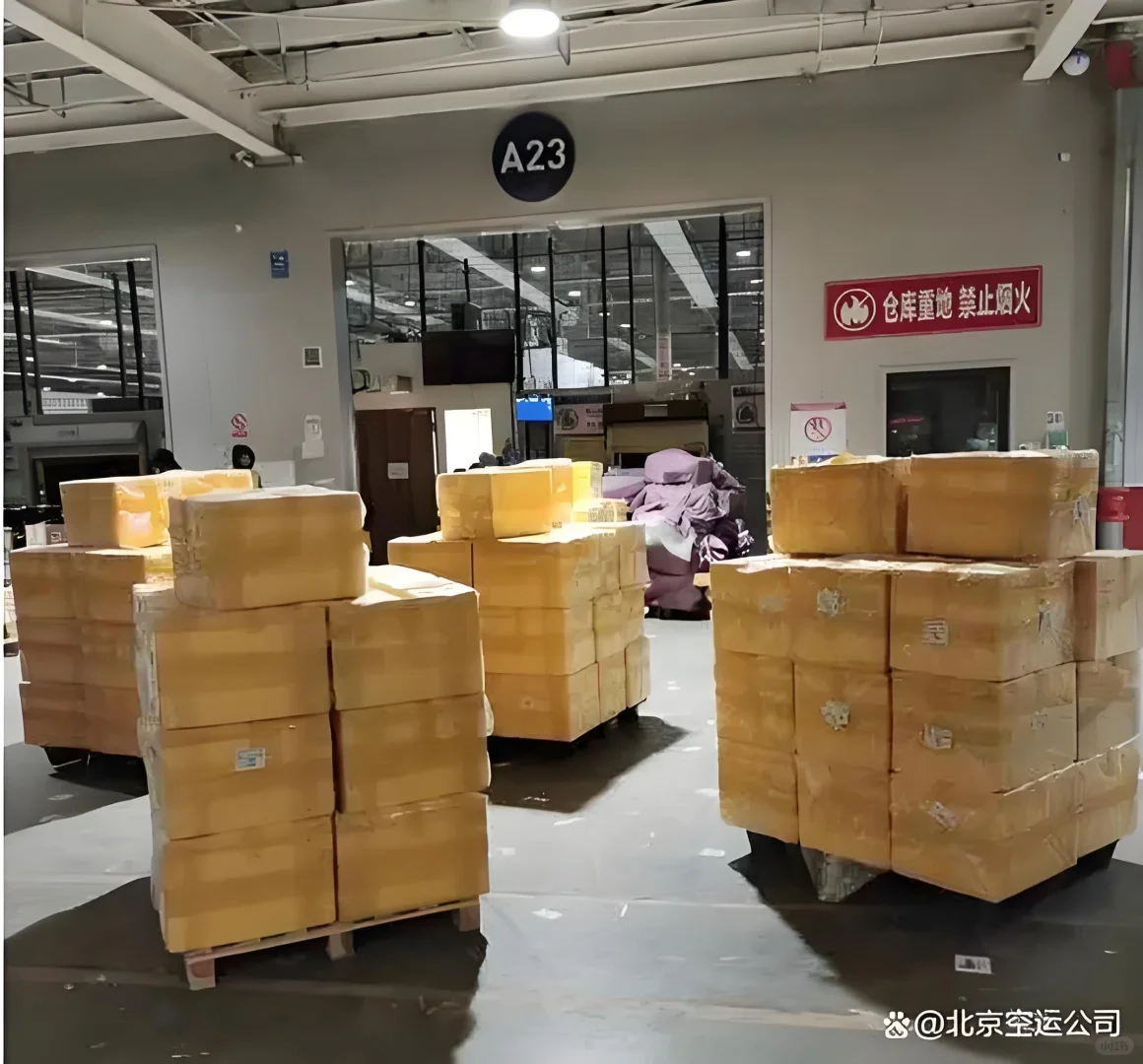 冷链空运，食品空运，牛羊肉空运，水果空运