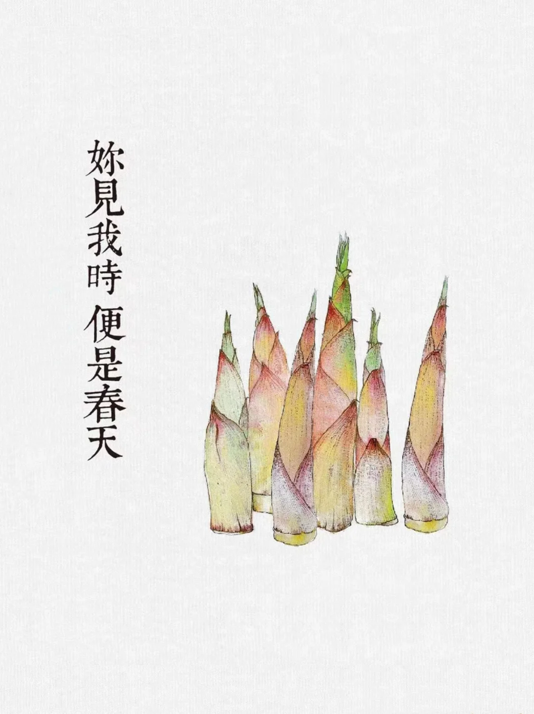 今天给蔬菜写文案：如果蔬菜会说话