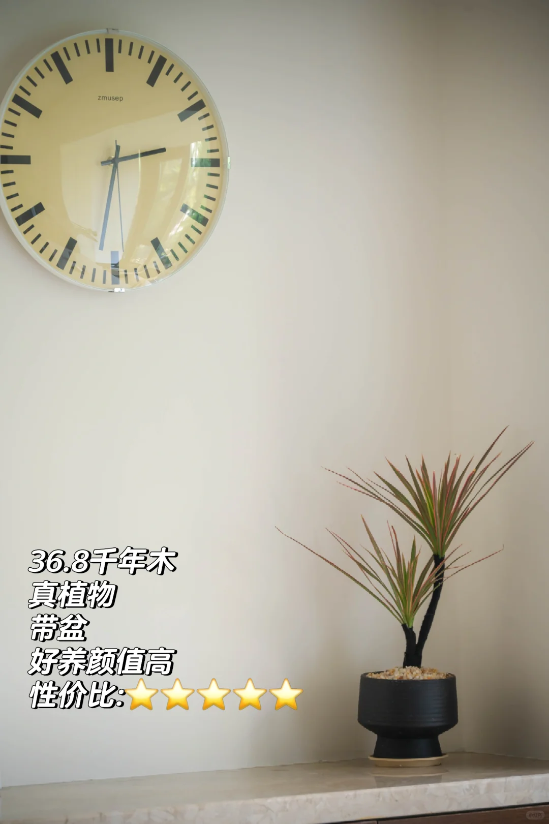 我可能是全网最会买装饰品，同时最扣的博主