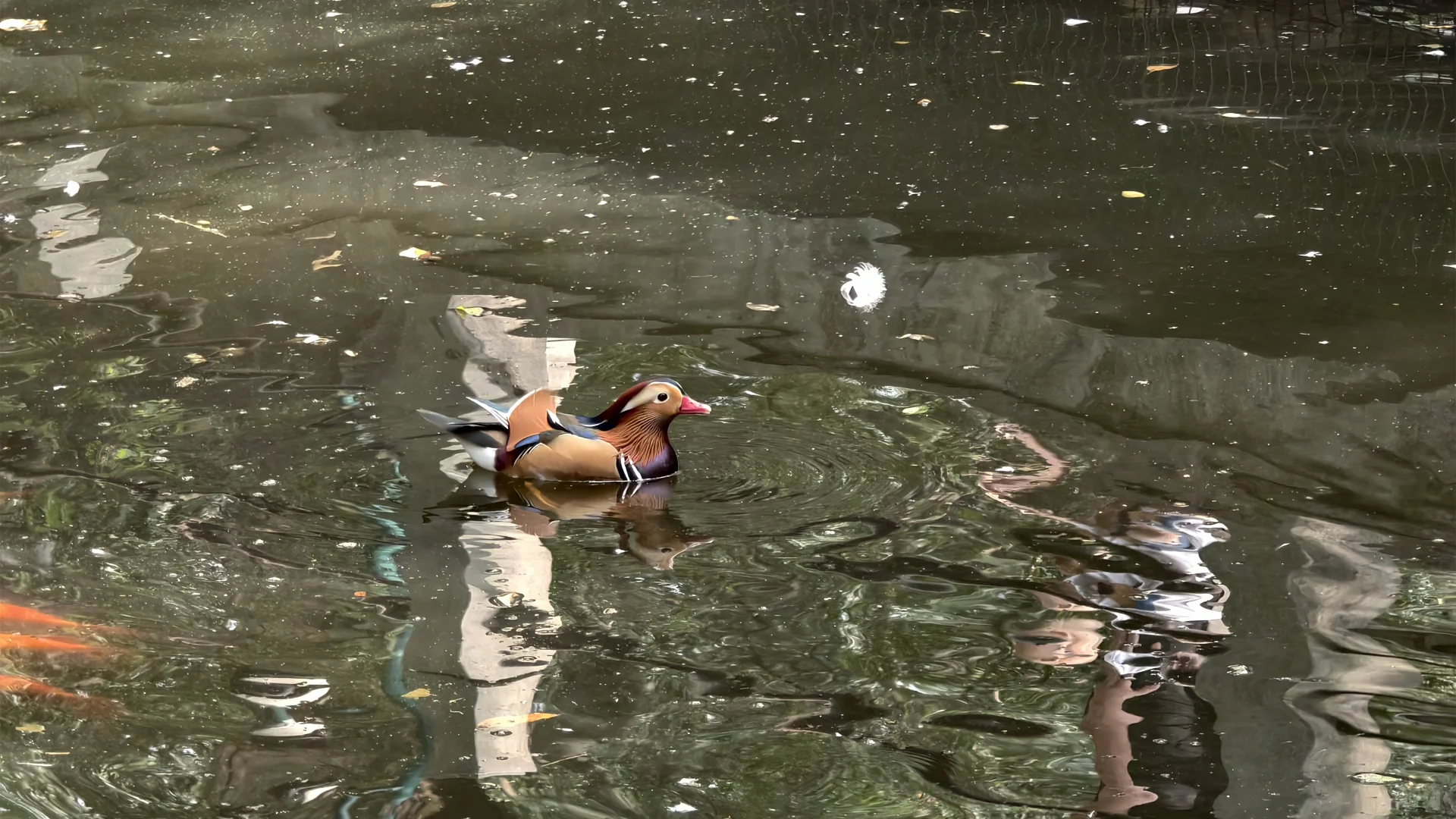 特种兵之杭州动物园