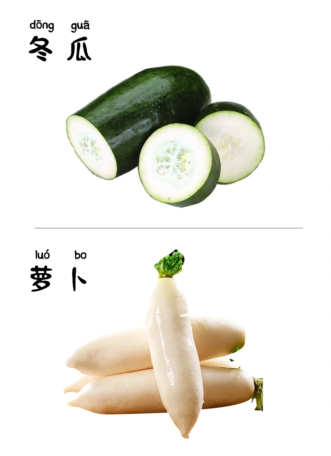 儿童早教启蒙识图-蔬菜