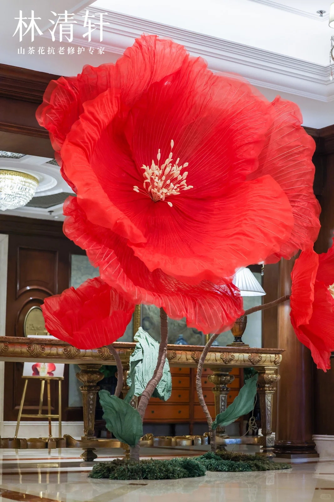 灵动|巨物山茶花装置|北京丽思卡尔顿酒店
