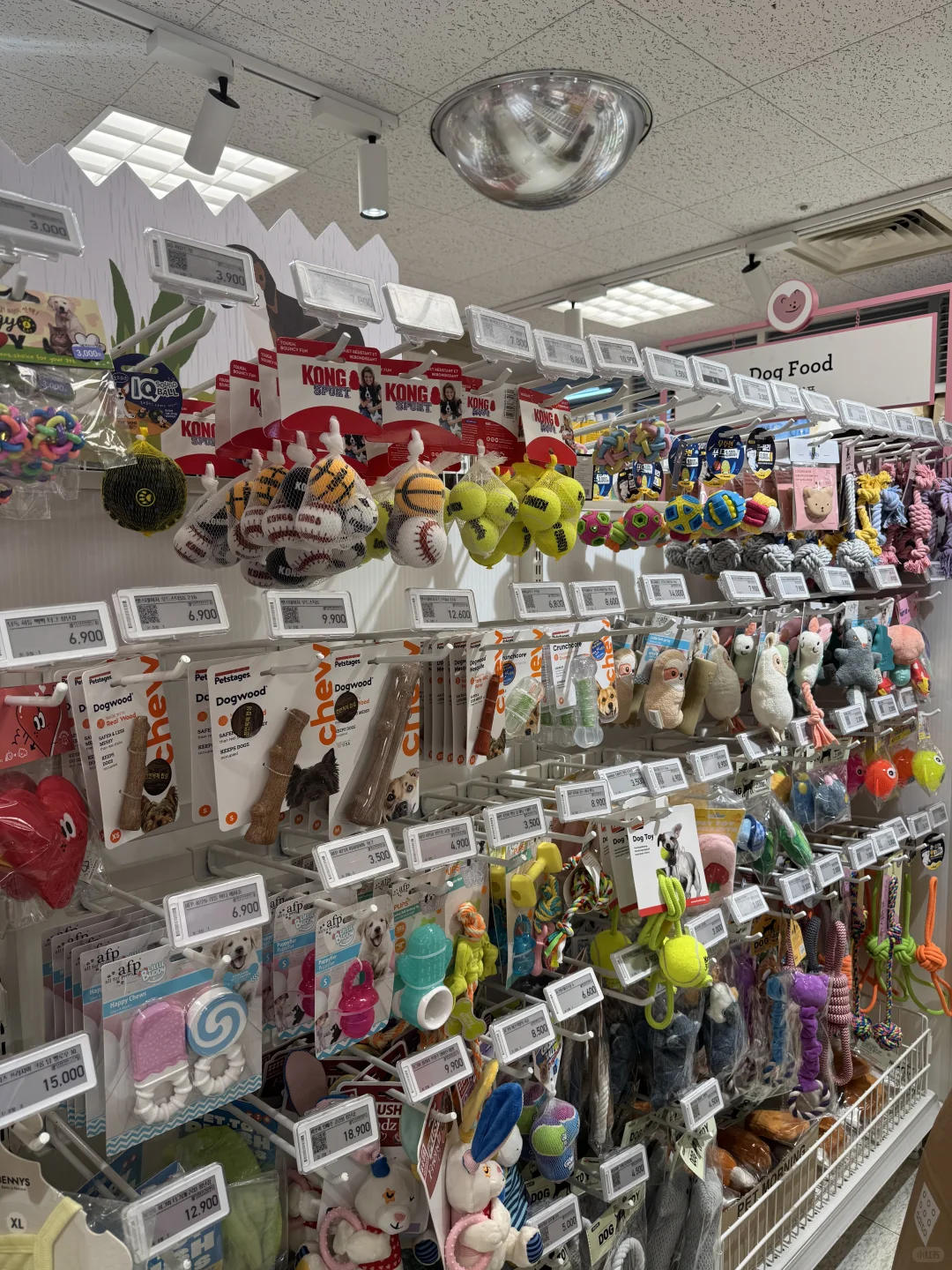 养狗人济州岛打猎攻略?勇闯?家店宠物店！