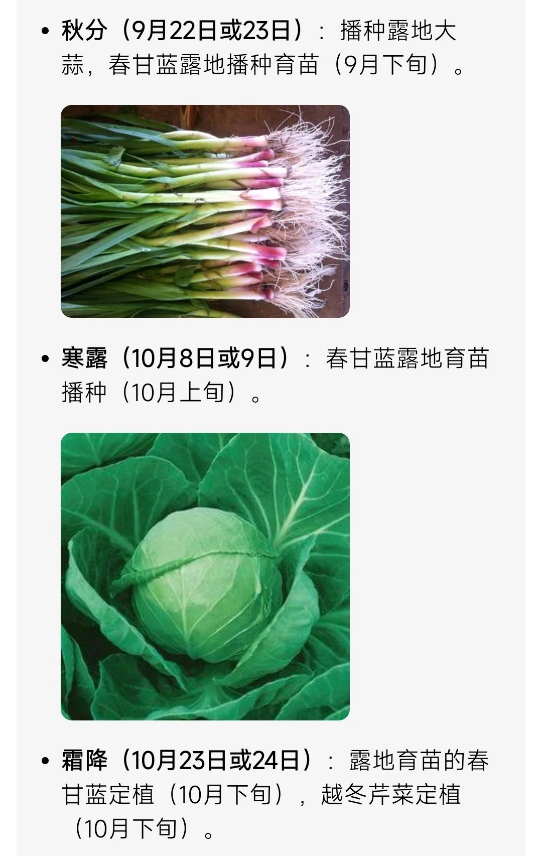 山东烟台二十四节气种菜时间