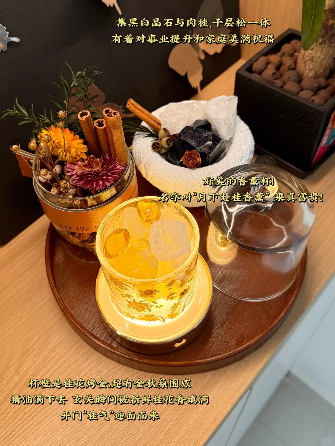 实用玄关布置！收纳+提升运势小摆件✨?