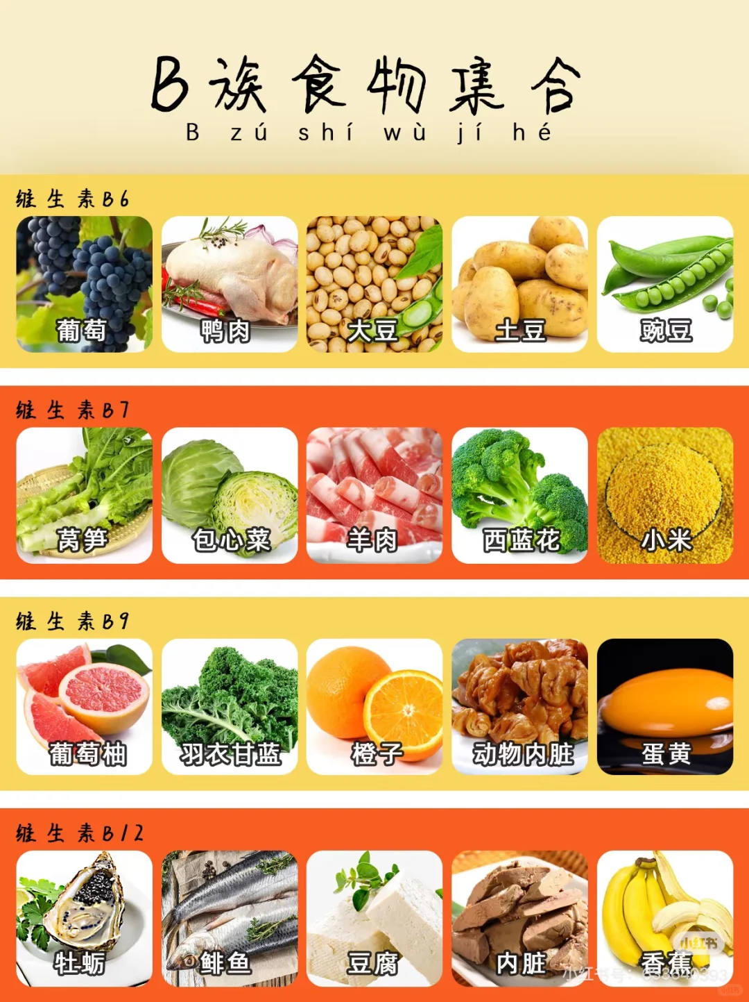 富含维生素B食物