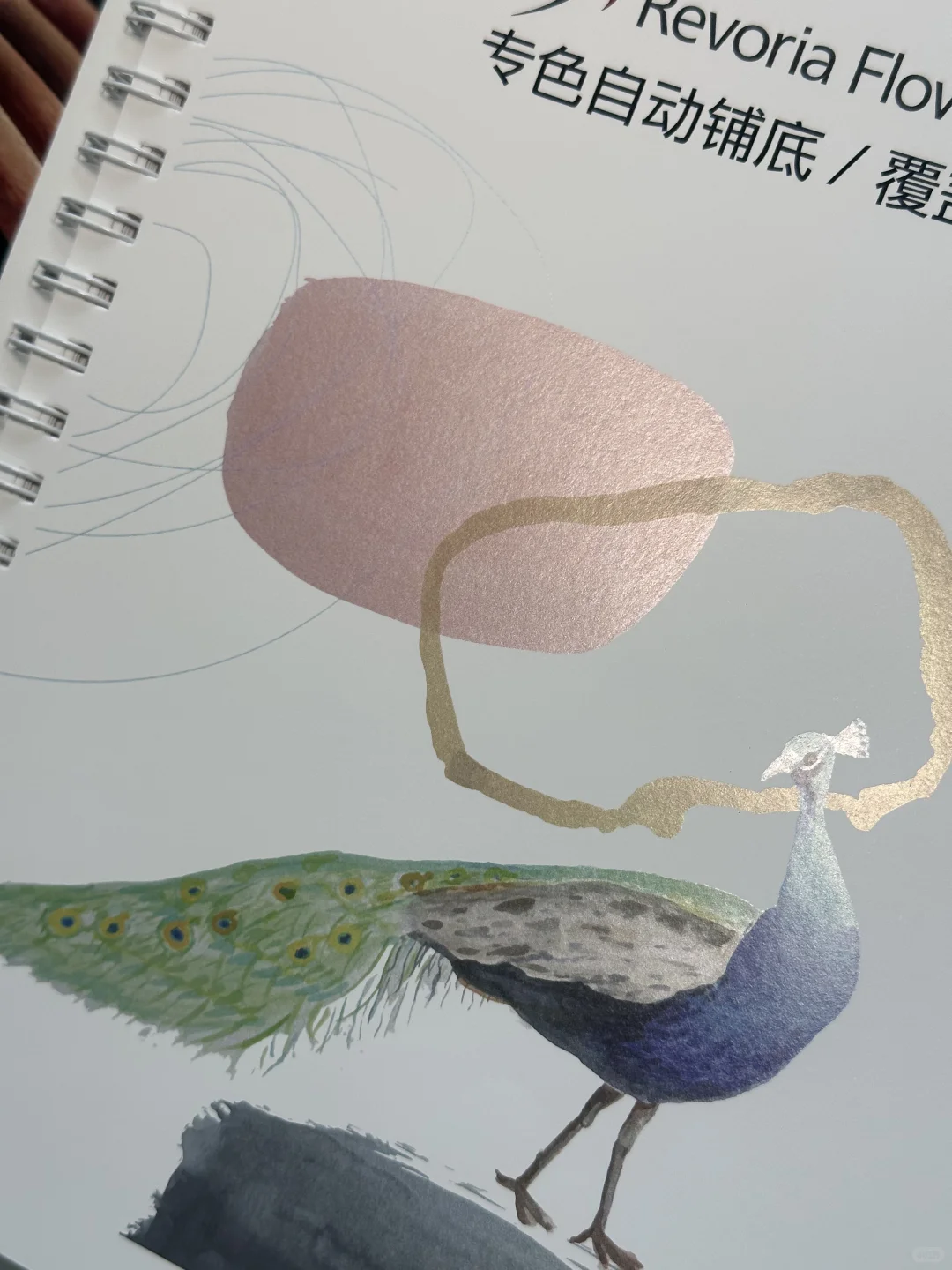 艺术家的平面设计｜数码专色运用